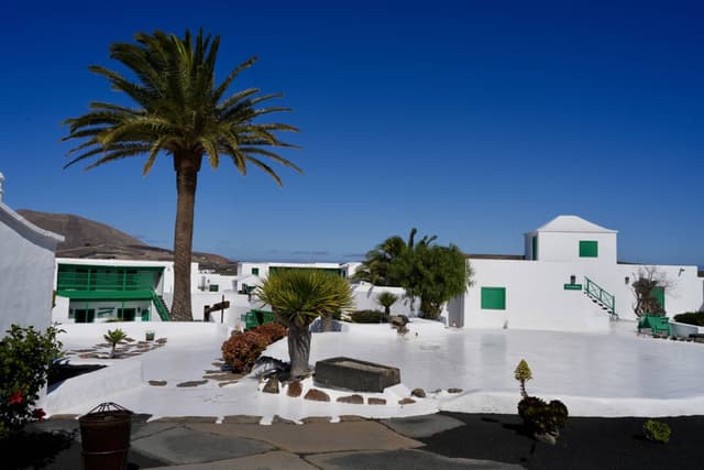 Photo 6 by Nigel D. (2/15/25)