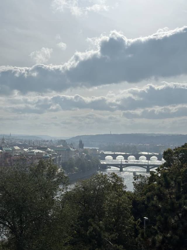 Photo 7 by Mohammed A. (10/17/24)