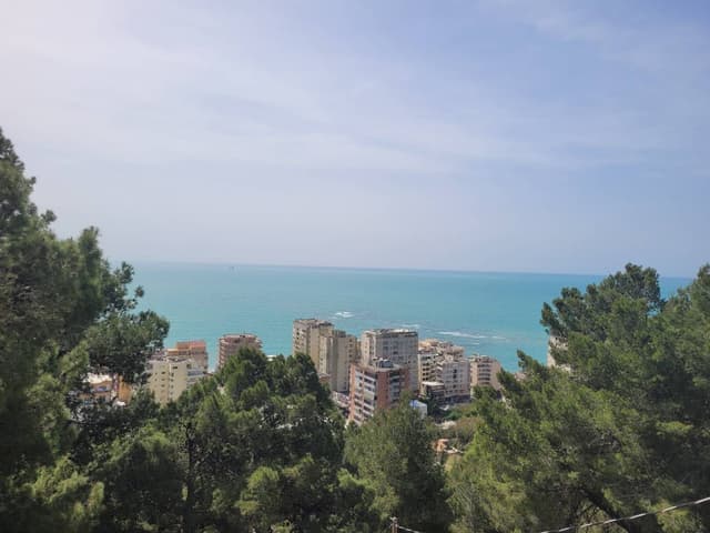 Foto 6 di FEDERICA F. (02/04/24)