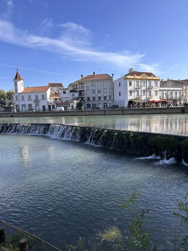 Photo by Luciana F. (5/7/23)