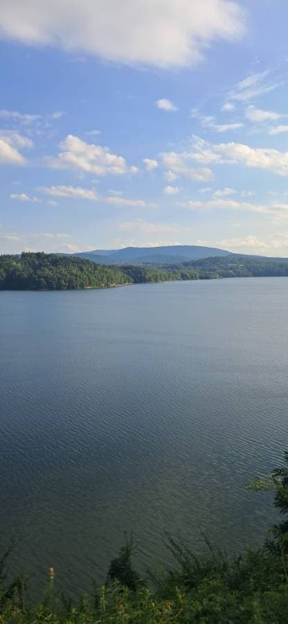 Photo 3 by Laura S. (8/13/24)