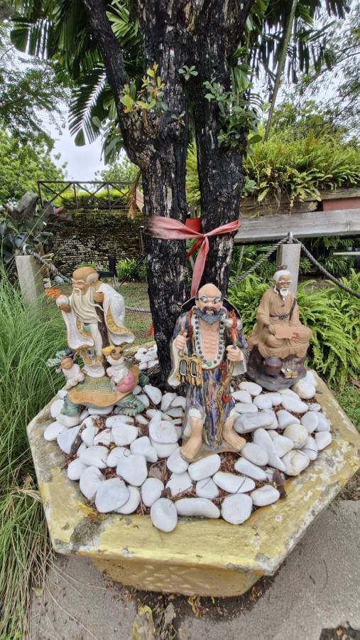 Photo 3 by Gary M. (10/12/25)