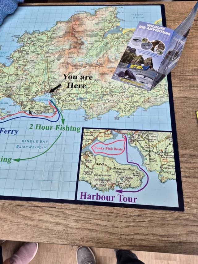 Photo 3 by Nicu M. (5/17/24)