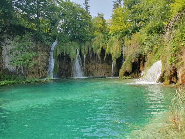 Henkilön Rauno T. kuva 4 (28.7.24)