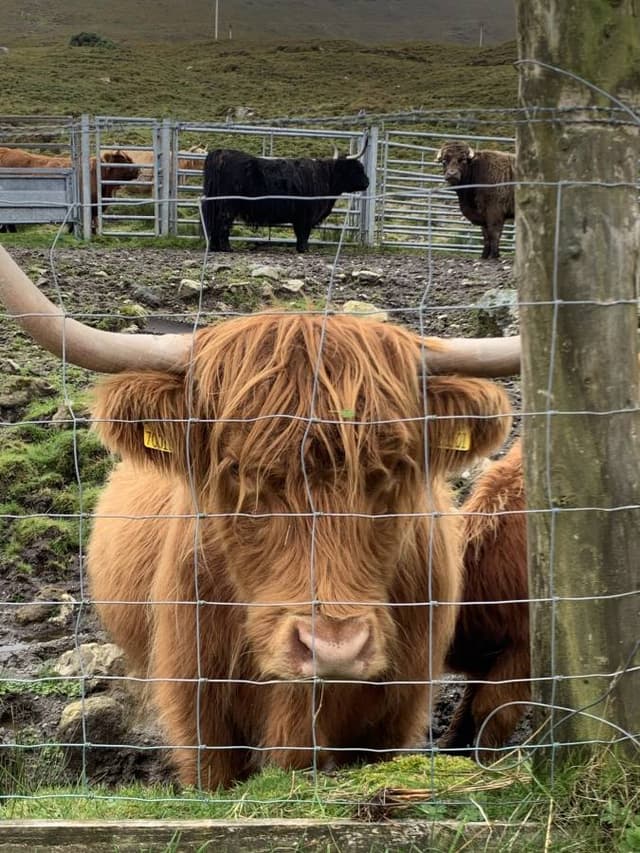 Photo 3 par Pierre L. (24/09/23)