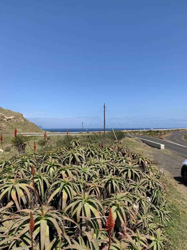 Photo 4 by Andrzej S. (5/5/25)