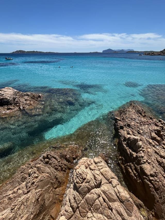 Photo 7 by Anna K. (5/30/25)