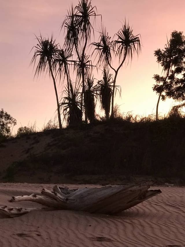 Photo by Carol G. (12/7/22)