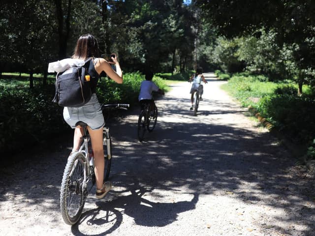 Photo 9 by Duwayne K. about hiring a Ford Kuga at Naples Airport (17/04/24)