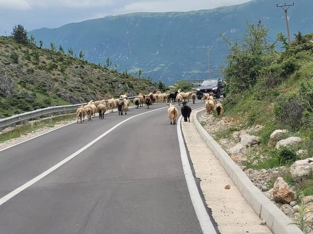 Foto 3 van Rene S. (2-6-25)