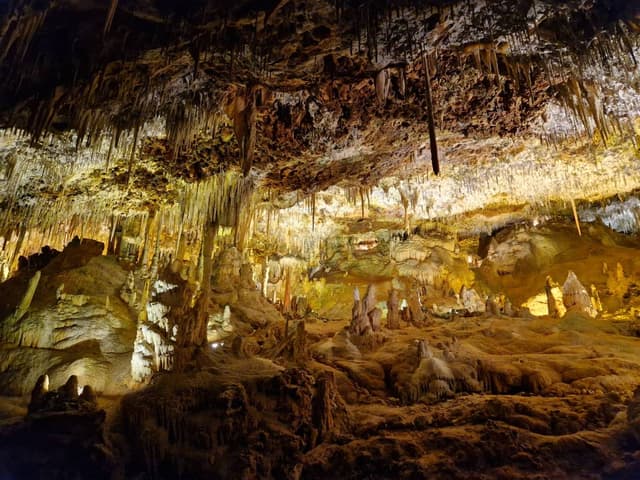 Photo 3 by Graham D. about renting a Nissan Juke in Mallorca (9/2/24)