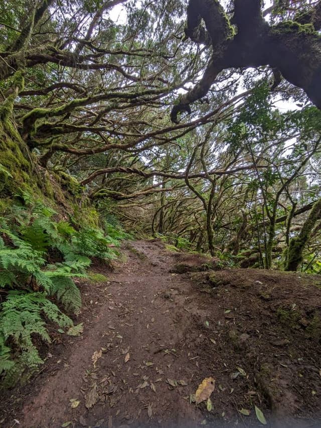 Photo 1 by Joost K. (6/26/24)