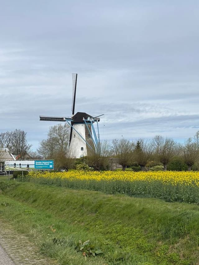 Photo 6 by Chantal S. (4/10/26)