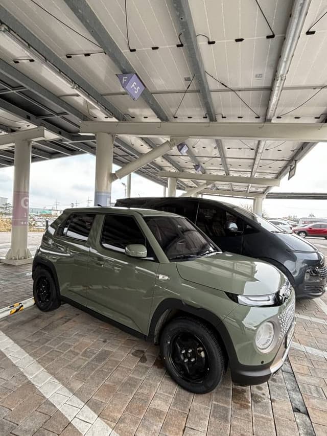 Photo 3 by Chin How T. (3/24/25)