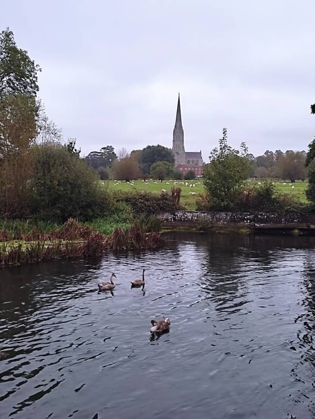 Photo 2 by Christopher B. (10/20/23)