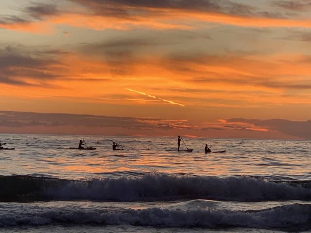 Photo 3 by PETER B. (9/28/25)