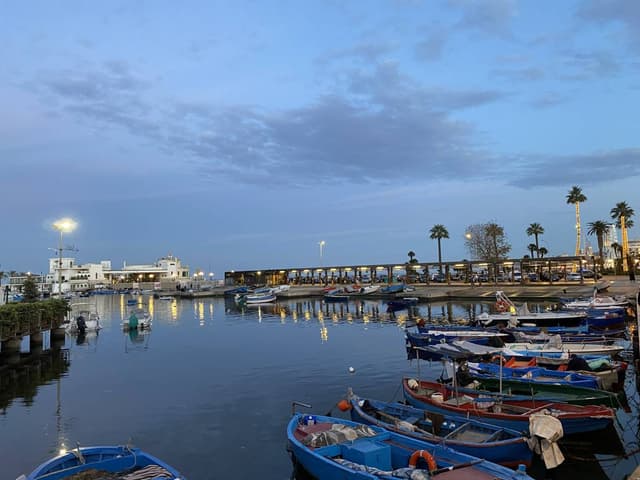 Photo 4 by Marius Alin F. (1/5/24)