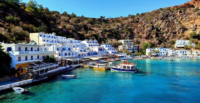 Photo 7 by LIYEN A. (10/30/24)