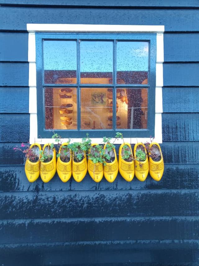 Photo 3 by Marco F. (12/2/23)