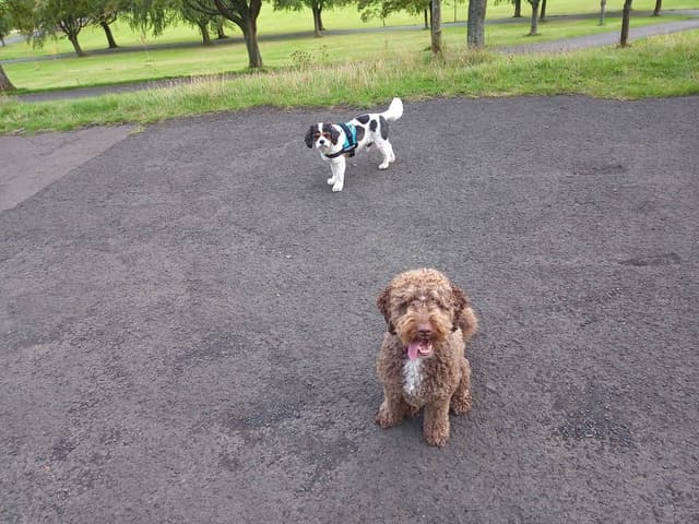 Photo 1 by June B. about hiring a Fiat 500 in Glasgow (03/01/24)