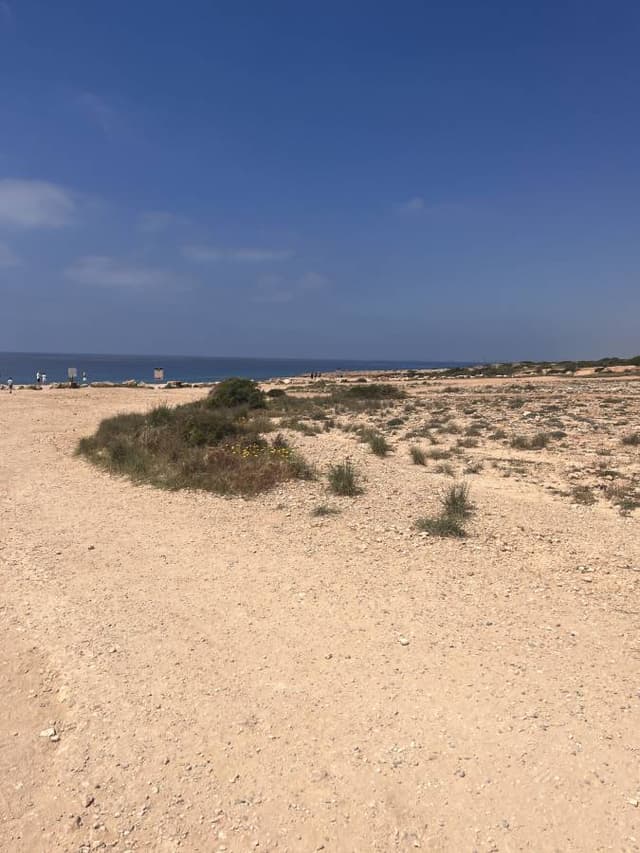 Photo 3 by Sarah R. about hiring a Kia Picanto in Cyprus (04/05/26)
