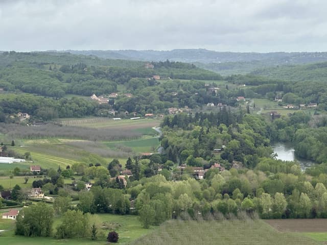 Photo 4 by Dharmasankara C. (4/27/25)