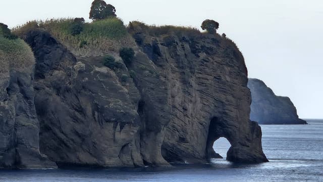 Photo 7 by Isabella V. (10/30/24)