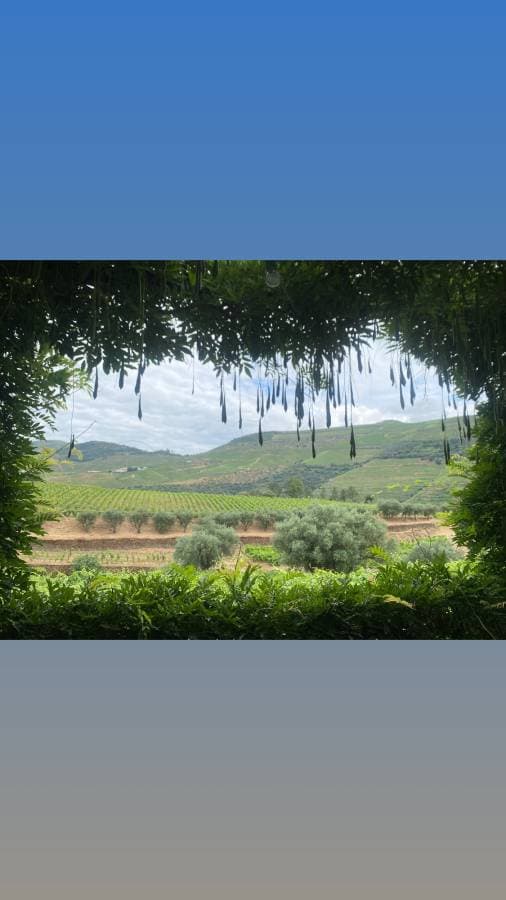 Photo 6 by Michael W. about hiring a Fiat 500 in Lisbon (22/06/24)