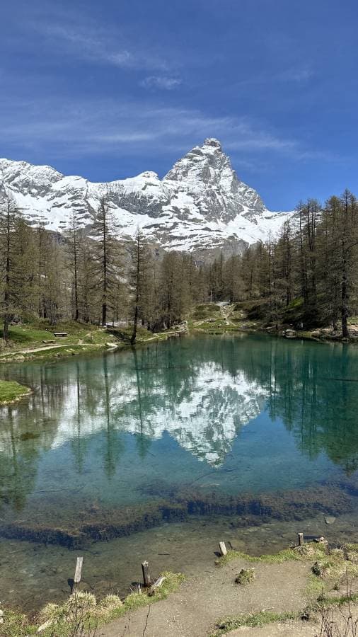 Foto 4 van Wim H. (20-5-25)