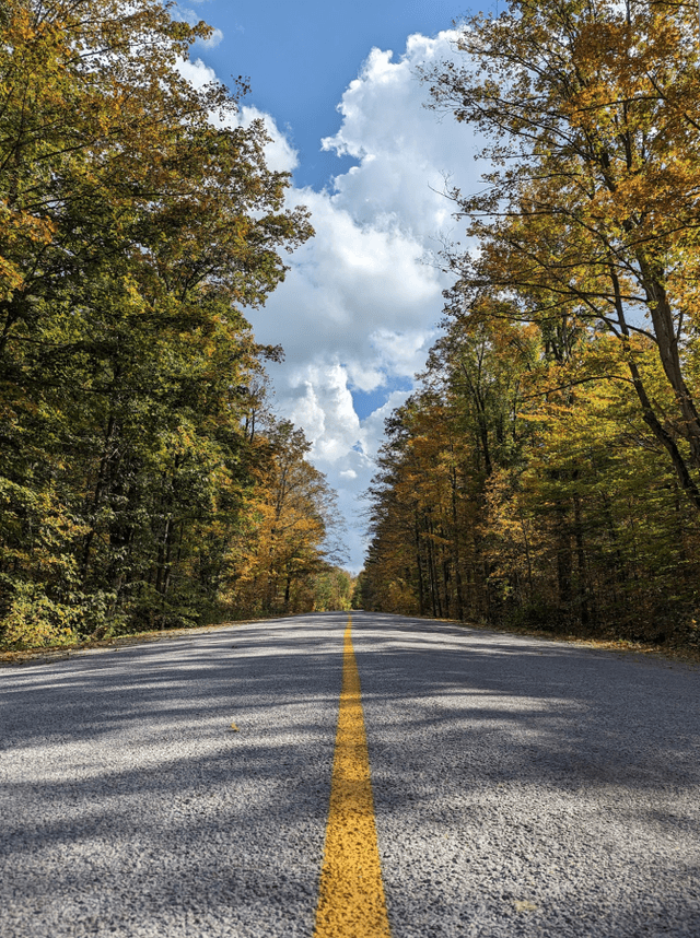 Photo 2 by Ting Chian T. about renting a Toyota Corolla in Canada (10/21/23)