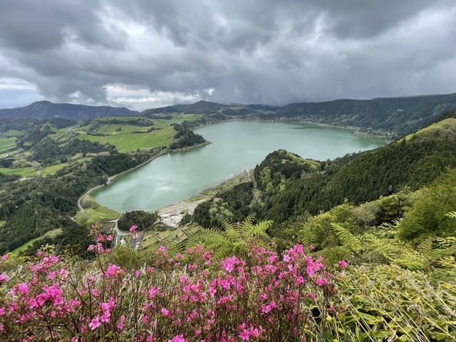 Photo 4 by Fernando P. (5/19/25)