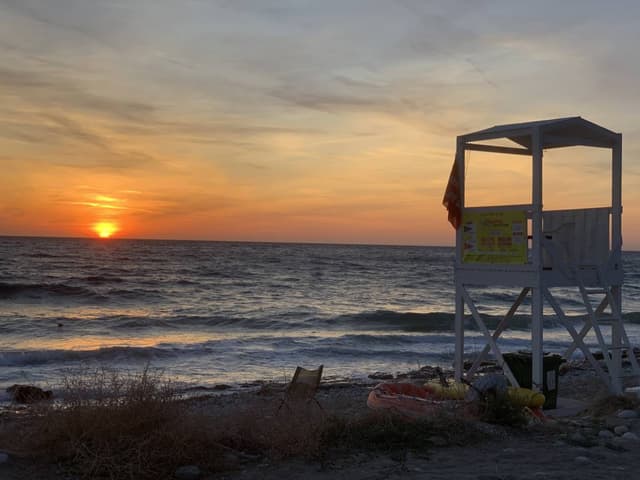 Photo 4 by PETER B. (9/28/25)