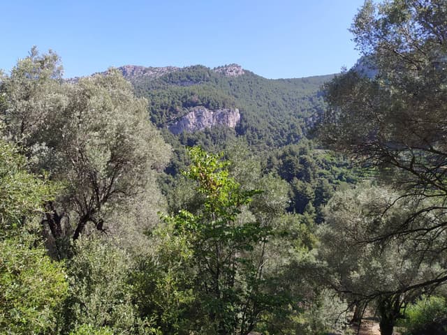 Photo 2 by Gregory K. (7/4/25)