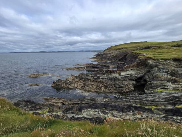 Photo 1 by Stephen A. (7/3/24)