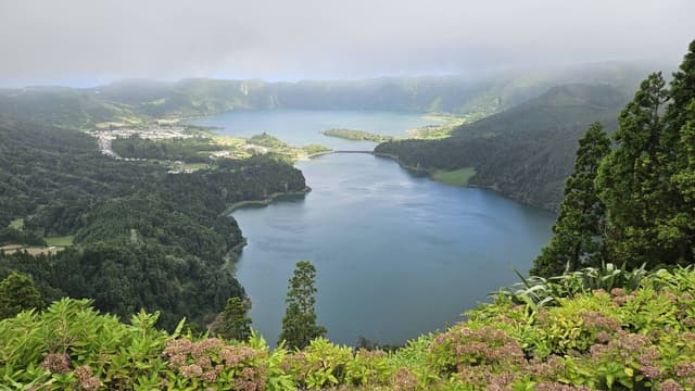 Photo 8 by Isabella V. (10/30/24)