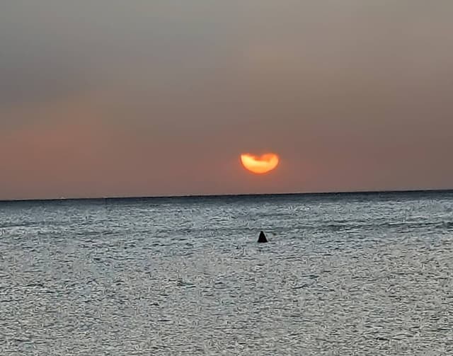 Photo 4 by Brent P. (2/8/26)