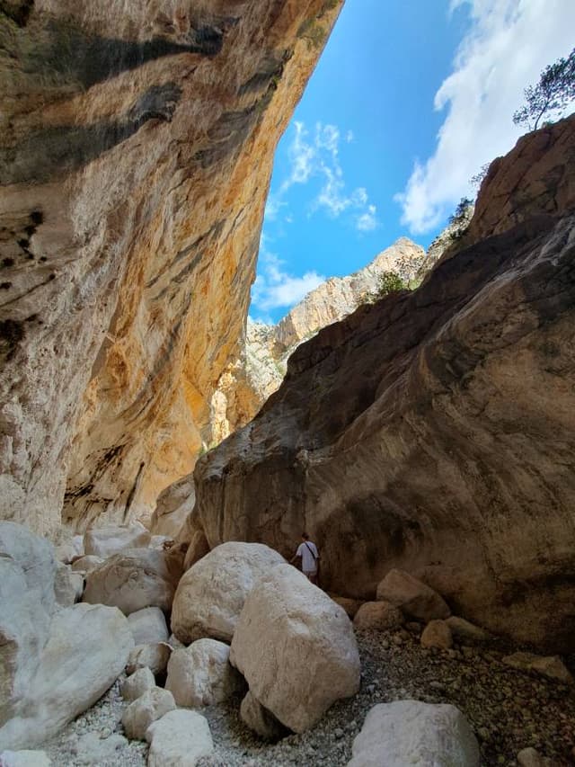 Photo 6 by Quelly S. (9/20/23)