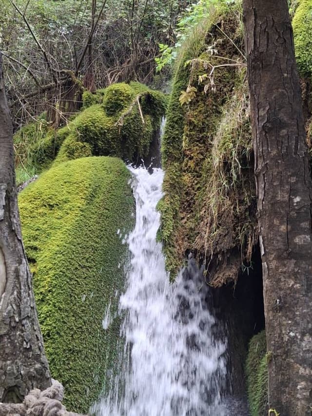 Photo 6 by Joanne H. about hiring a Fiat 500X in Naples (18/09/24)