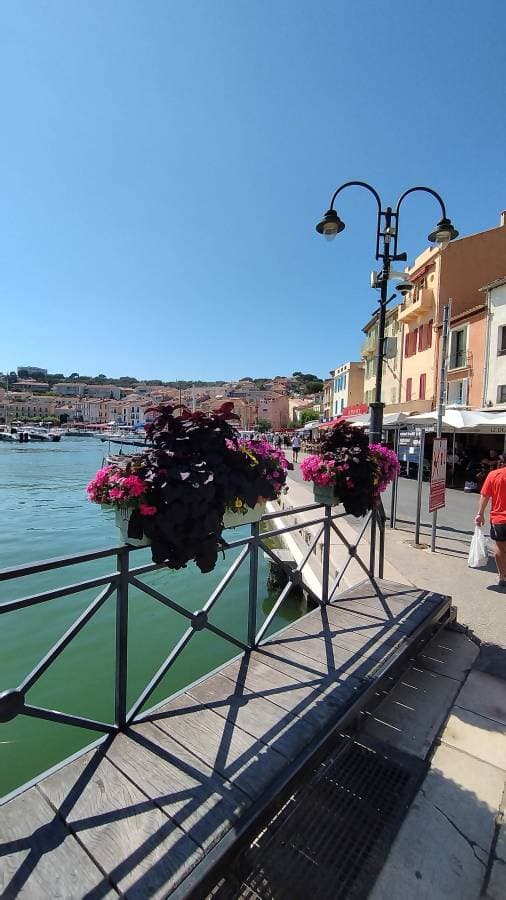 Photo 3 by Rui Alexandre M. (6/20/25)