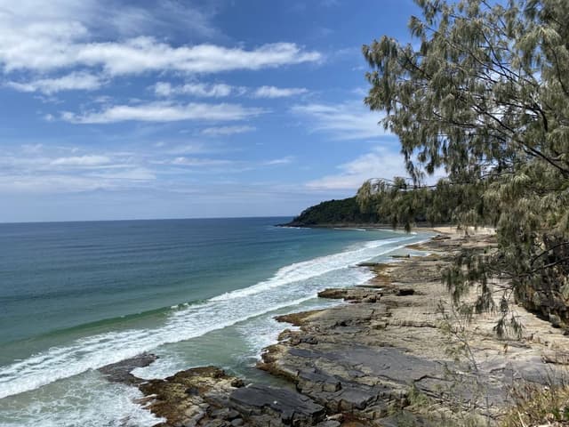 Photo by Giuseppe C. (11/11/25)