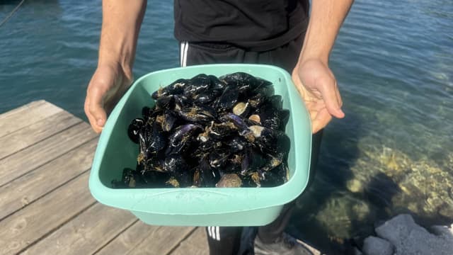 Photo 3 by Chuan-Fu S. about hiring a Volkswagen Polo at Dubrovnik Airport (17/05/25)