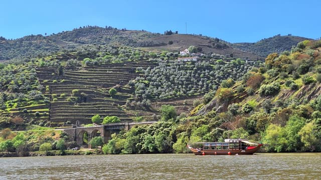 Foto 5 van Robin L. (20-4-25)