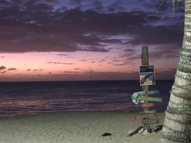 Photo 4 by marie-claude S. (2/5/26)