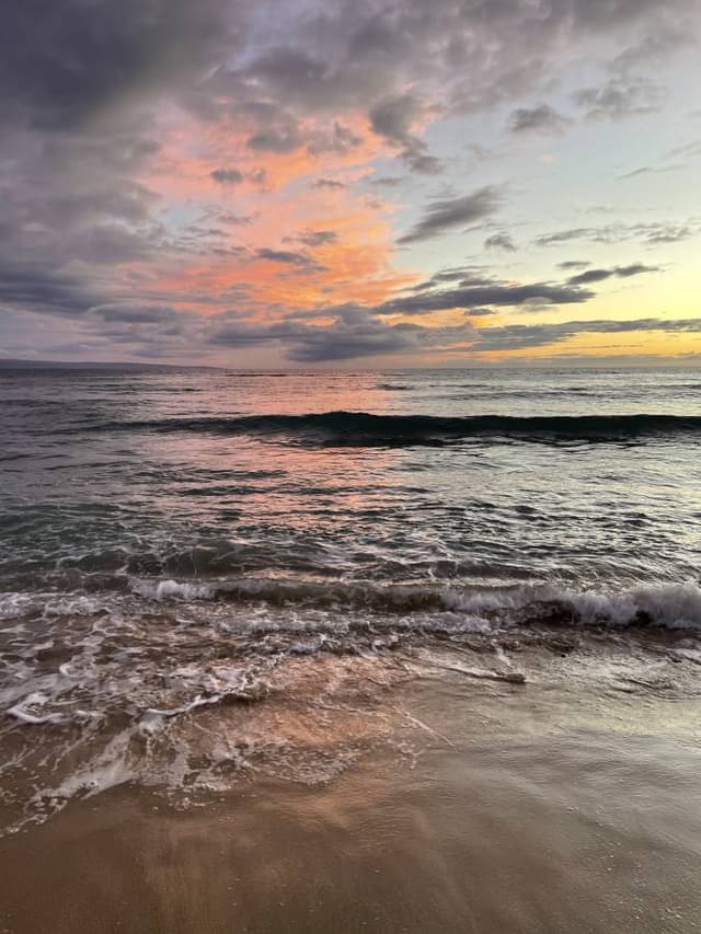 Photo by Cassie T. (1/29/23)