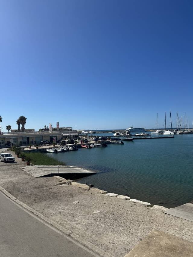 Photo 3 by Michele D. about hiring a Ford Focus on Sicily (02.09.25)