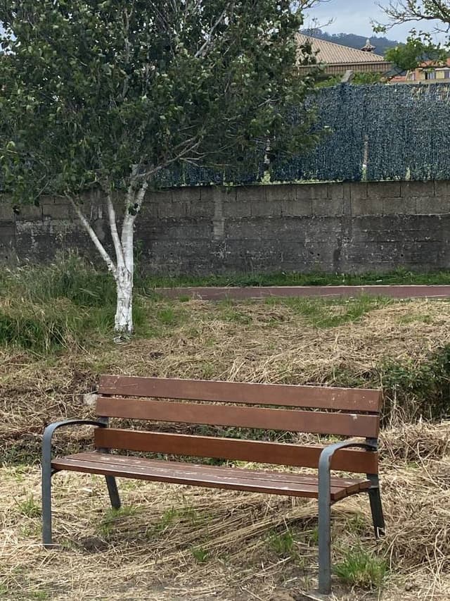 Photo 6 by WILMER L. (6/18/24)