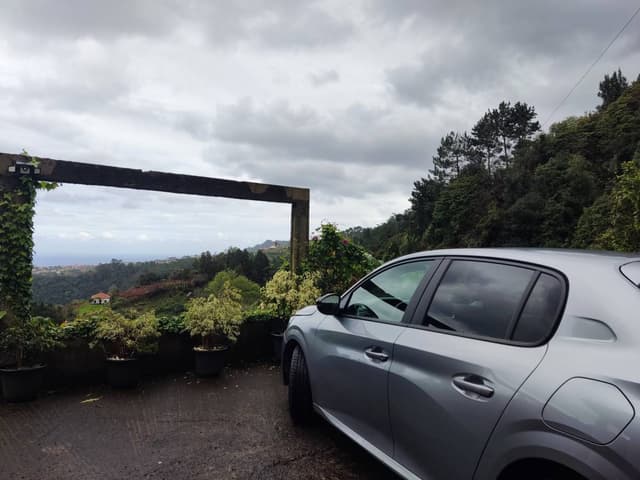 Photo by Mazvydas S. (3/13/25)