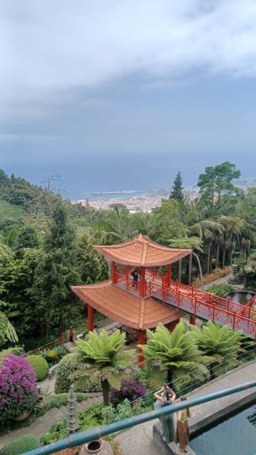 Photo 1 by CRAIG L. about hiring a Fiat 500X at Madeira Airport (Funchal) (08/07/25)