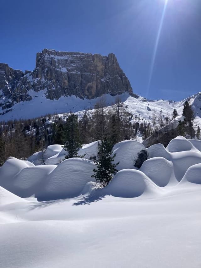 Photo 4 by Tim O. about hiring a Fiat Tipo STW in Venice (01/04/24)