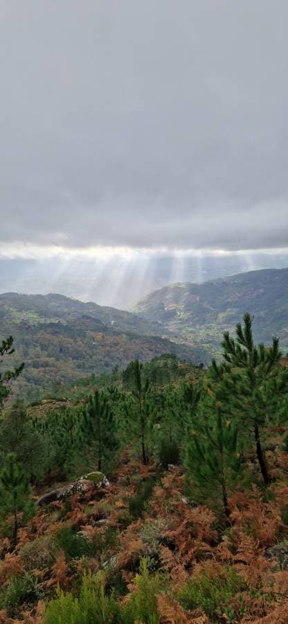 Photo 3 by Olga F. about hiring a Volkswagen Golf STW in Porto (19/11/23)